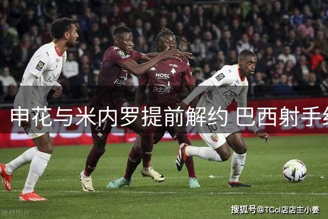 申花与米内罗提前解约 巴西射手结束中超之旅